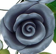 Sugar Soft Roses