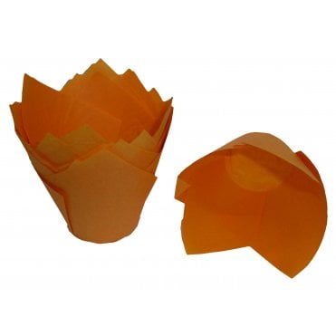 Muffin Cases: 20 x Tulip - Various Colours